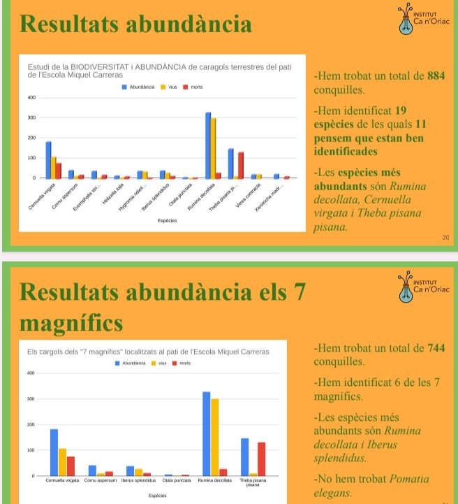 acastel6's tweet photo. Tant mèrit té iniciar un projecte com saber mantenir-lo en el temps i millorar-lo. Un any més, amb @gonchilab i @dbalateu de l'@inscanoriac, hem fet el #ProjecteGuaitacargols amb @MCNBeducacio.  Gràcies per donar-nos l'oportunitat de presentar-vos els resultats al @museuciencies. https://t.co/o3ymczFUHB