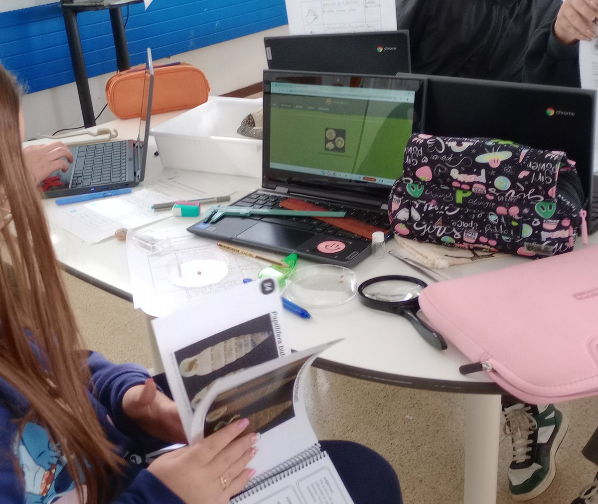 acastel6's tweet photo. Tant mèrit té iniciar un projecte com saber mantenir-lo en el temps i millorar-lo. Un any més, amb @gonchilab i @dbalateu de l'@inscanoriac, hem fet el #ProjecteGuaitacargols amb @MCNBeducacio.  Gràcies per donar-nos l'oportunitat de presentar-vos els resultats al @museuciencies. https://t.co/o3ymczFUHB