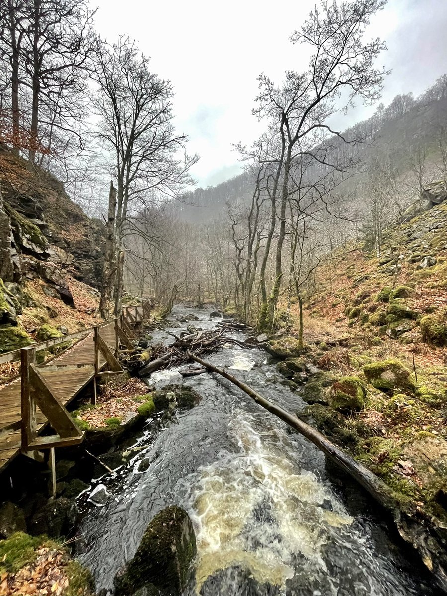 What a better way to end a great conference? Söderåsen National Park 👇🏞️ #NordicOikos2024 #Lund #Sweden