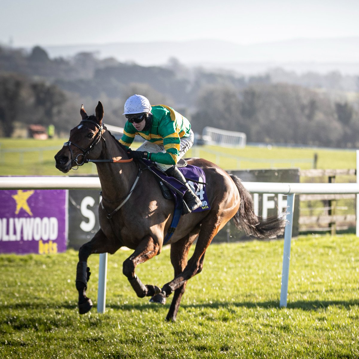 Racing Post tweet media