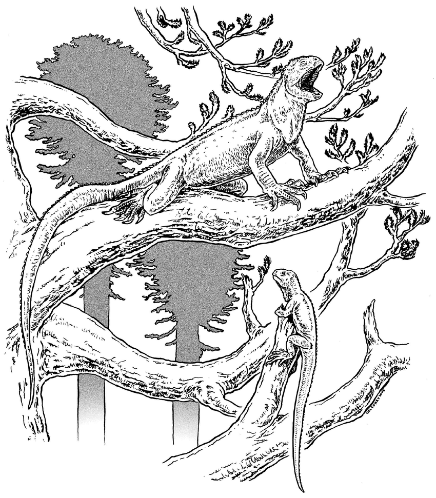NotThatMarsh's tweet photo. Ending this thread with my favorite Trilophosaurus art, the operatic Trilophosaurus pavarottii by @clepsydrops in this volume: https://t.co/R1nphP3vdT. #FossilFriday #parkscience #triassicpark #trilophosaurus https://t.co/eVLNTczRGT