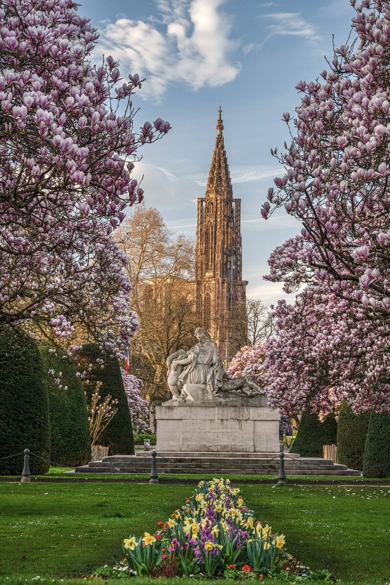 CedricSchell's tweet photo. Le printemps à Strasbourg. https://t.co/zyVHkLOVYe
