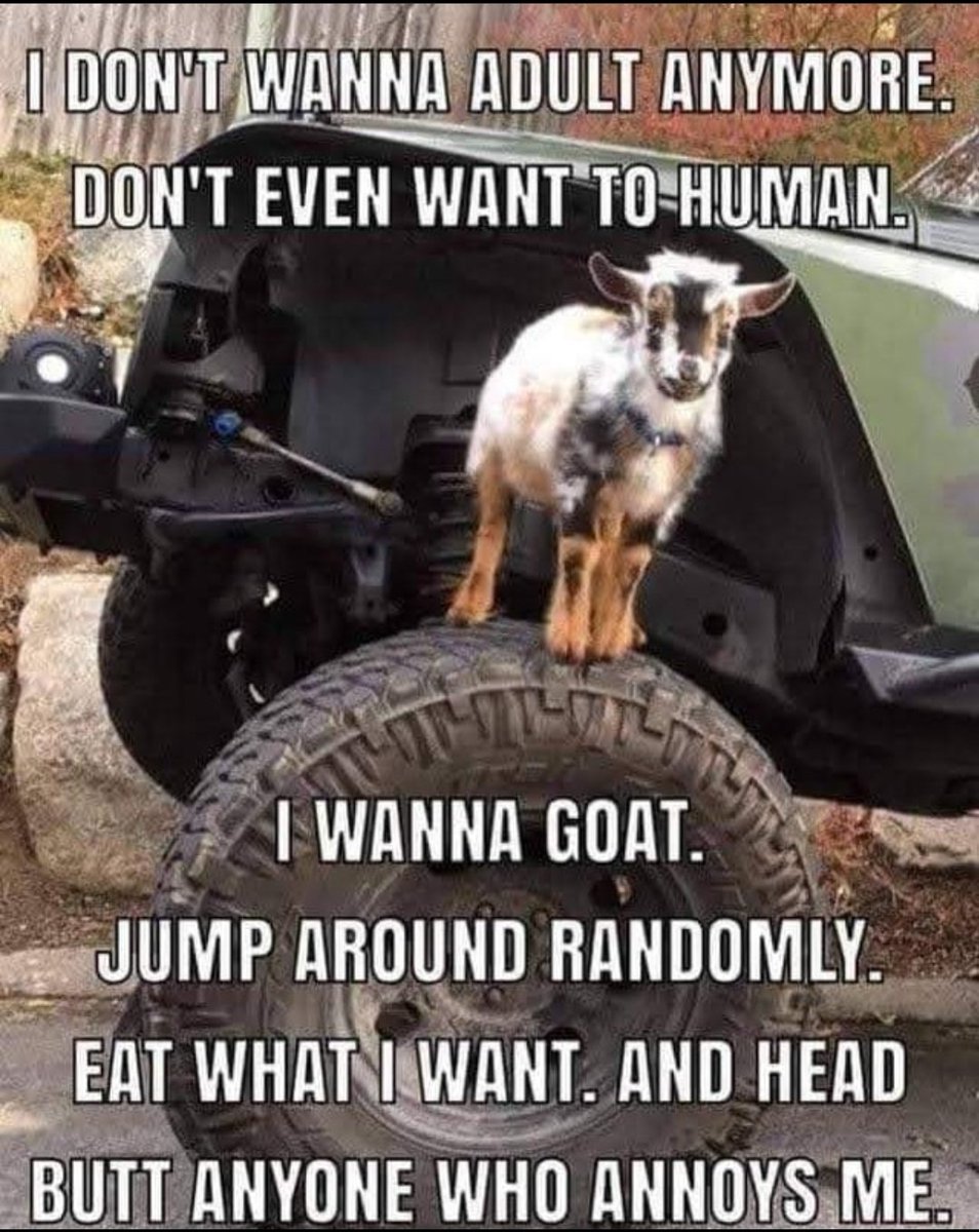 🤣🥹🫶🏽😭🐐 #Truth