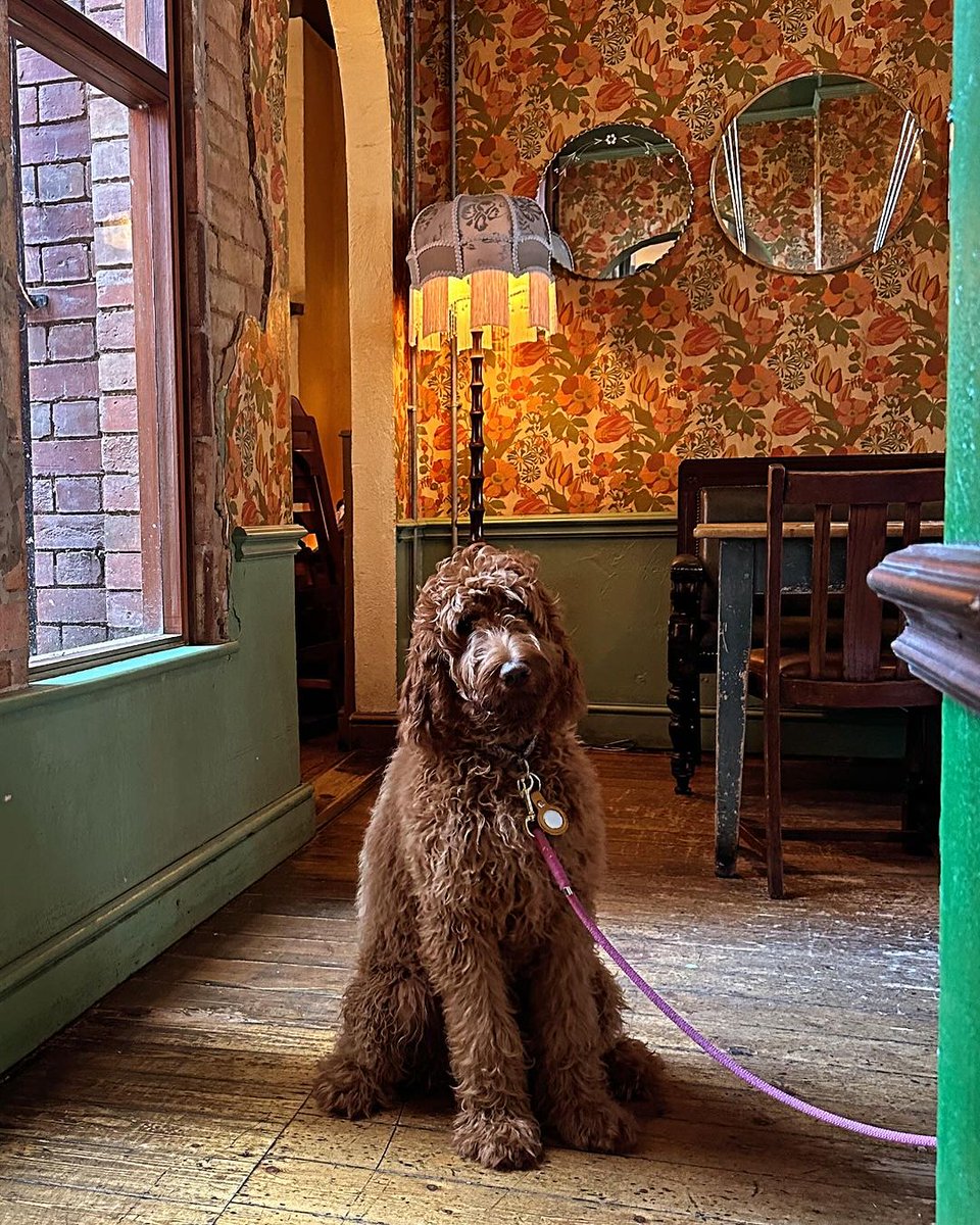 We know that your four-legged pals are part of the family, and we love to have them join us. As long as paws stay on the floor, and barks are kept to a minimum, then we have treats and water bowls ready!

📷 Bacco Lounge

Find out more at thelounges.co.uk/dogfriendly