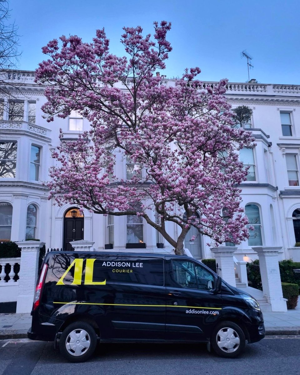 It's starting to feel like Spring and as Londoners gear up for their annual Spring clean, our trusty courier vans are ready to help you clear out the clutter. 🌷 Whether it's transporting donations or delivering storage boxes, we've got you! #AddisonLee #Courier