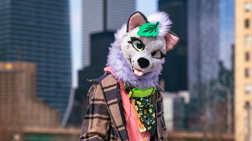 I'm going to #FurnalEquinox this weekend!! I'll do fursuit games, fur tour and Sketch hall. I'll have Motoki fursuit there. Feel free to find me and chat :D
#Furnalequinox2024 
Photo by <a href="/tobeecoyotee/">Tobee Coyotee</a>