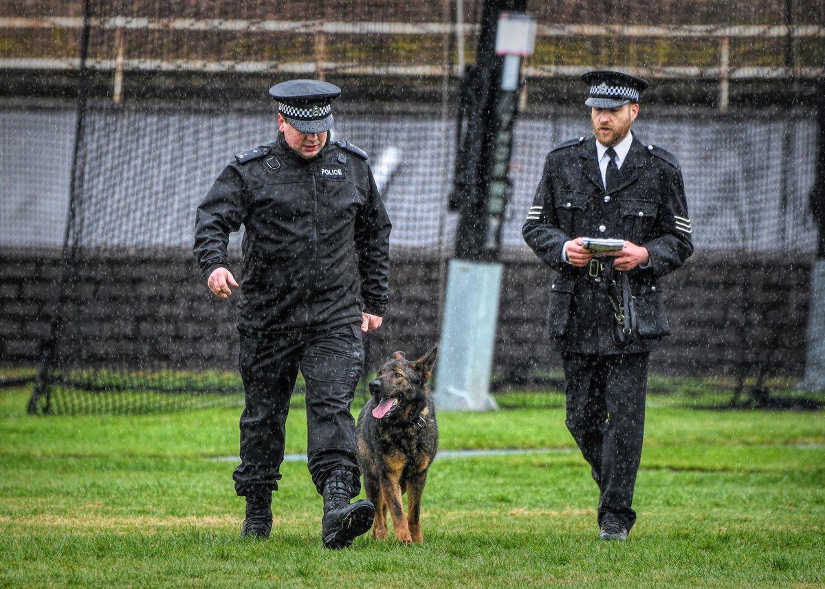 PoliceScotland's tweet image. Police dogs and handlers got to showcase their agility, obedience and police work skills at the 56th Regional Police Dog Trials this week.
 
Well done to everyone who took part and congratulations to the winners, PC McMaster and PD Amber, who'll be progressing to the Nationals 👏