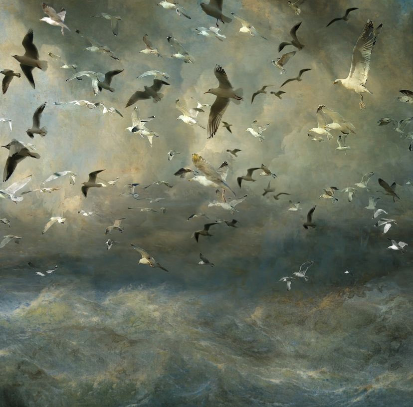 Seascape by Saskia Boelsums