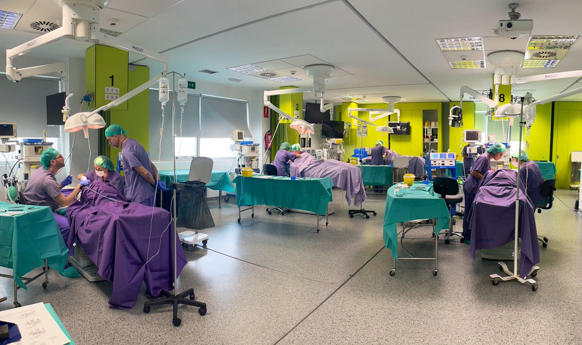 CTF ASACEC (@ctf_asacec) on Twitter photo Finaliza una nueva edición del Curso de Cirugía Cervical en Quirófano Experimental 👏🏻👏🏻
<a href="/ORLCHUAC/">Otorrinolaringología #CHUAC</a> Finaliza una nueva edición del Curso de Cirugía Cervical en Quirófano Experimental 👏🏻👏🏻
<a href="/ORLCHUAC/">Otorrinolaringología #CHUAC</a>