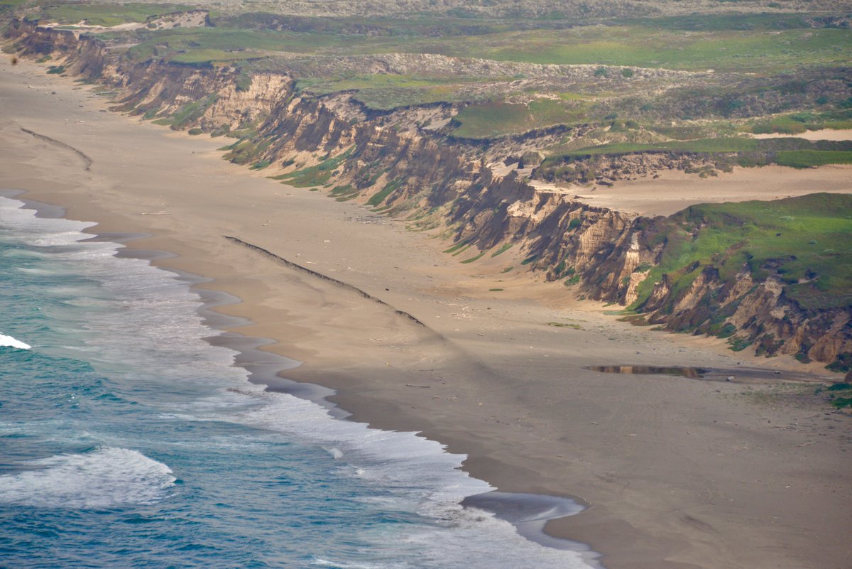 Cliffs, Point Reyes National Seashore, California.
@PointReyesNPS | #PointReyes