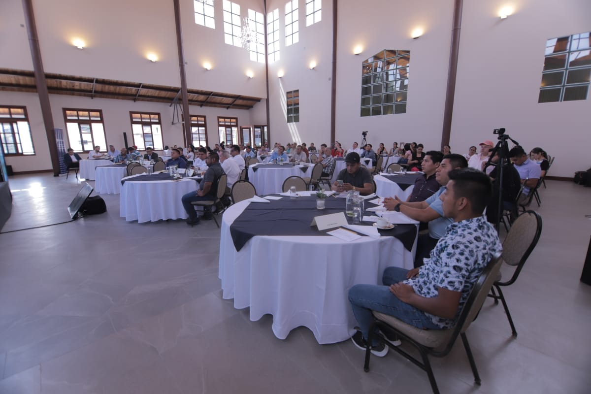 Mesa de Competitividad de Alta Verapaz tweet media