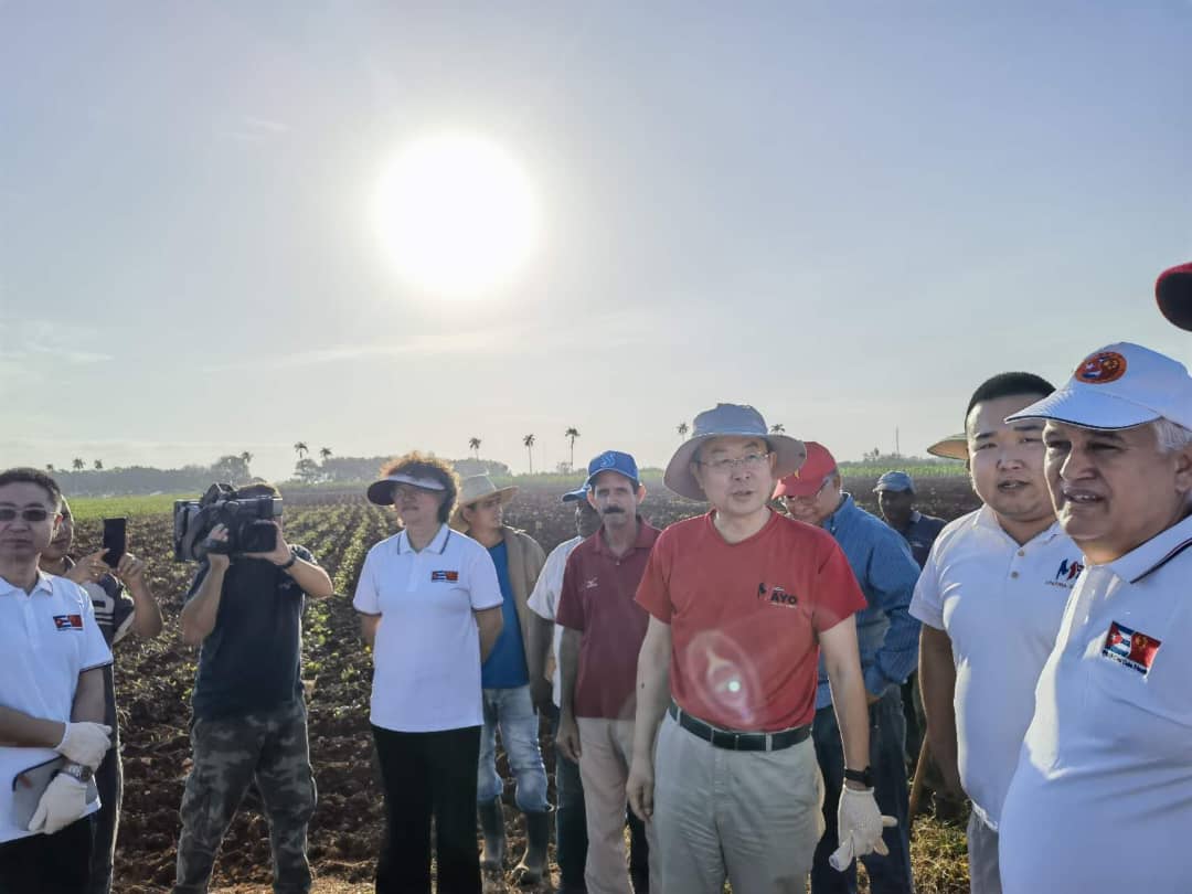 Junto al embajador <a href="/MahuiChina/">MA Hui 马 辉</a> y diplomáticos chinos, participamos en trabajo voluntario productivo organizado por el <a href="/PartidoPCC/">Partido Comunista de Cuba</a>, el cual fue reflejo de la unidad entre nuestros partidos y pueblos en el camino invariable de construcción del socialismo.