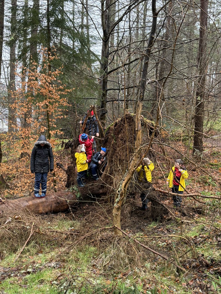 Logierait Nursery and Primary School tweet media