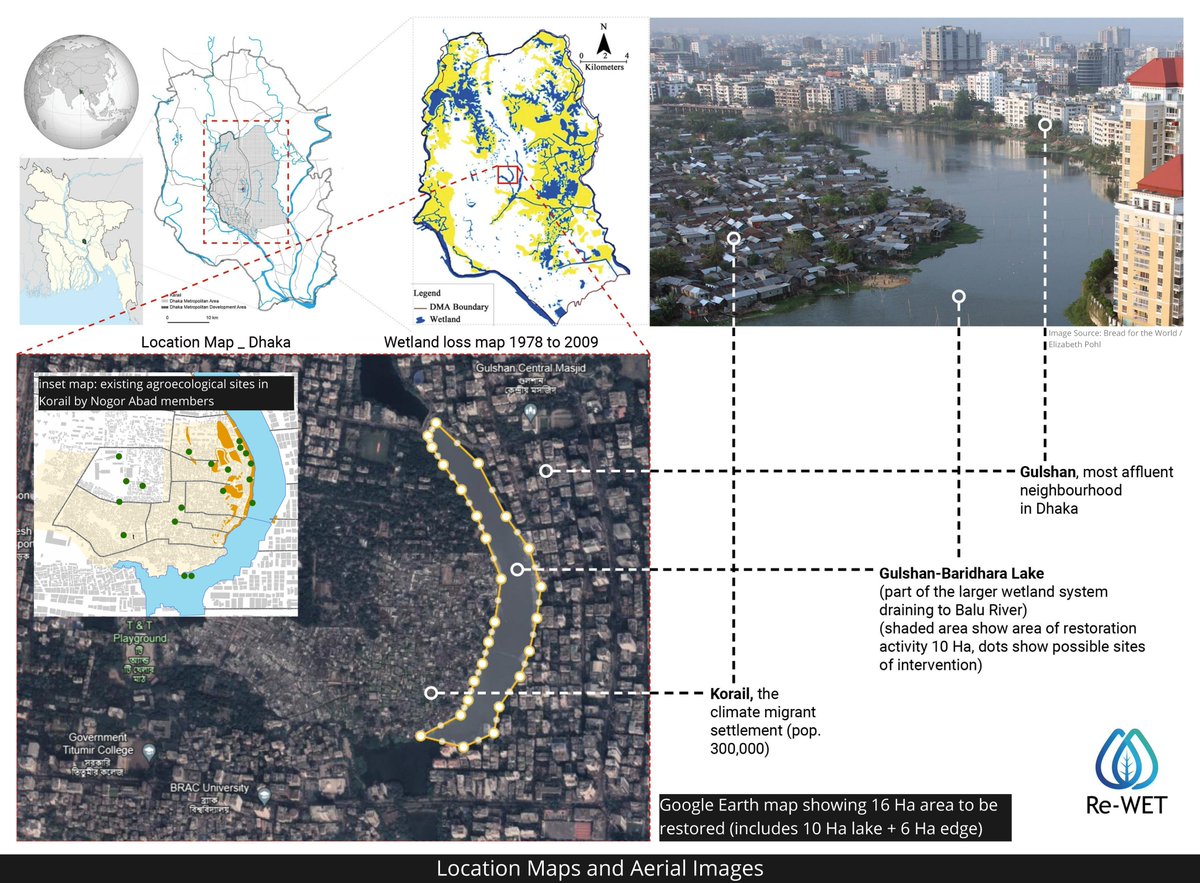 Most importantly, the consortium includes the grassroots urban agroecological cooperative Nogor Abad, which has been operating in the largest 'slum' in Dhaka, next to which this project's site is located. ReWET asks what happens if they become stewards of the wetland... 3/4