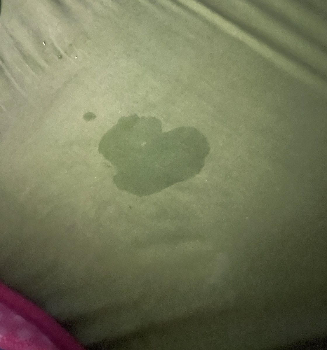 Mi lenguaje del amor 😌🔥