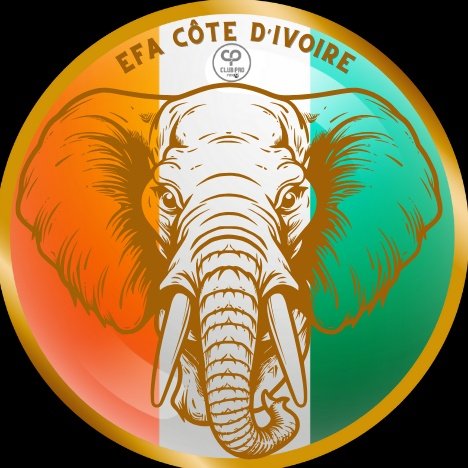 🚨 News 🚨 EFA CÔTE D'IVOIRE est fier de vous présentez son nouveau Logo Officiel 🇨🇮 Nous remercions @stm_totostan pour sa contribution 🔥 RDV à partir de 21h00 🇨🇵 sur la chaîne du sélectionneur @sarkalash pour des matchs d'entraînements☝🏾 #EAFC24 #clubpro #NextGear #ivorygaming