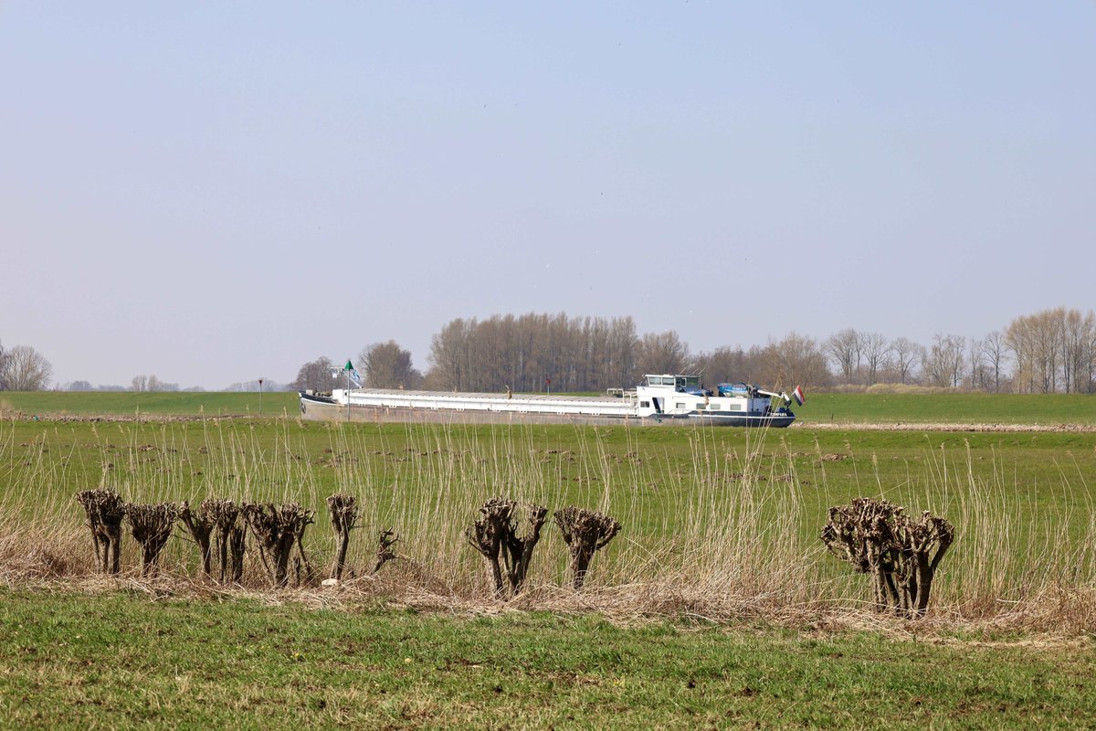 Nieuwsbrief 18 is uit. Dit keer over #weidevogels, private financiering voor het landschapsbeheer en o.a. een dubbelinterview met Warner Poortman <a href="/gemKampen/">Gemeente Kampen</a> en Rienko Baarslag <a href="/Gemeente_Zwolle/">Gemeente Zwolle</a>  Beide heren stonden aan de wieg van de SPLIJ+. bitly.ws/3fYHr