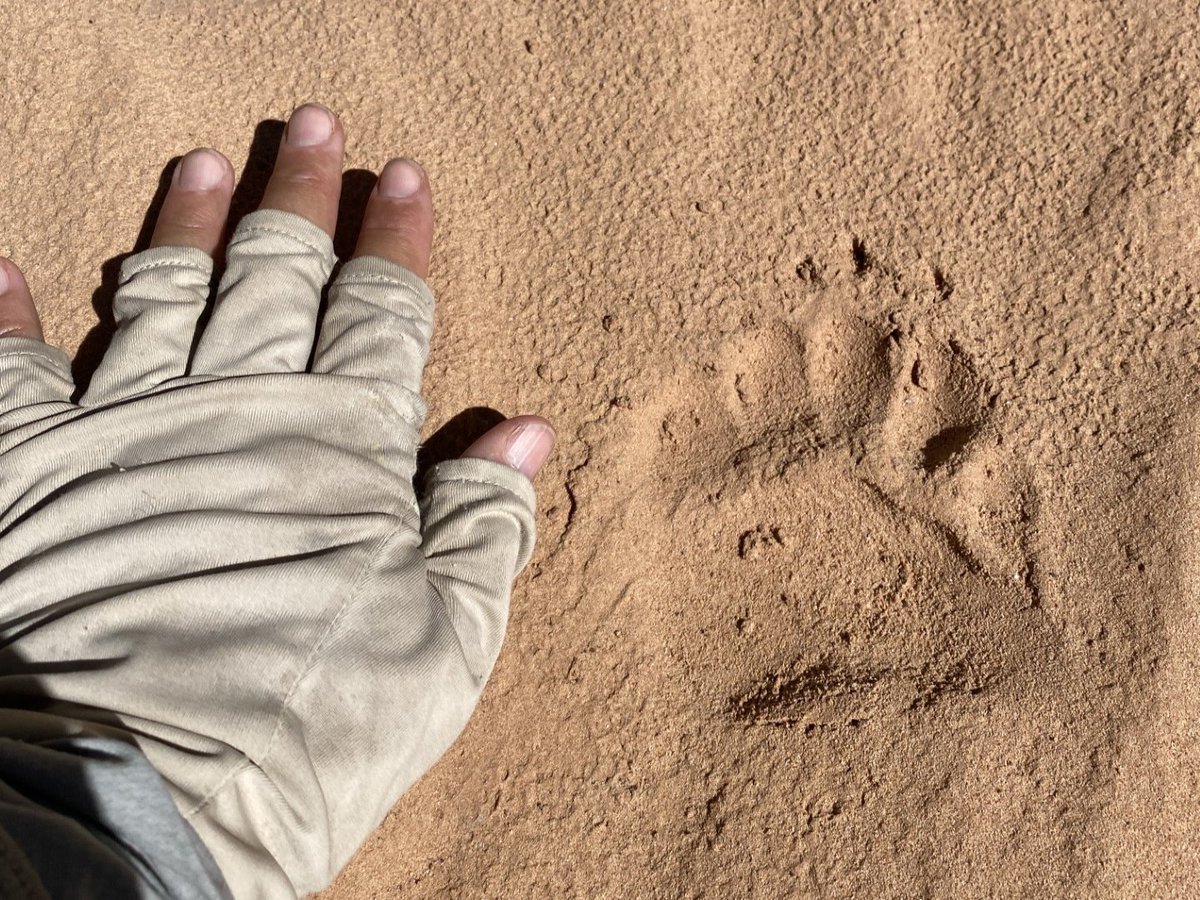 CanyonlandsNPS tweet picture