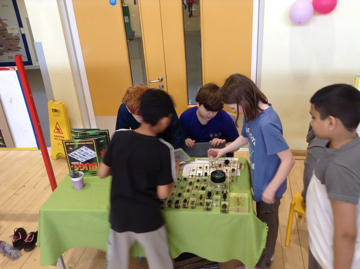What a way to finish British Science Week! The science fair had some brilliant entries and the children were able to explain the experiments they had done! @HLC_Primary #BSW24