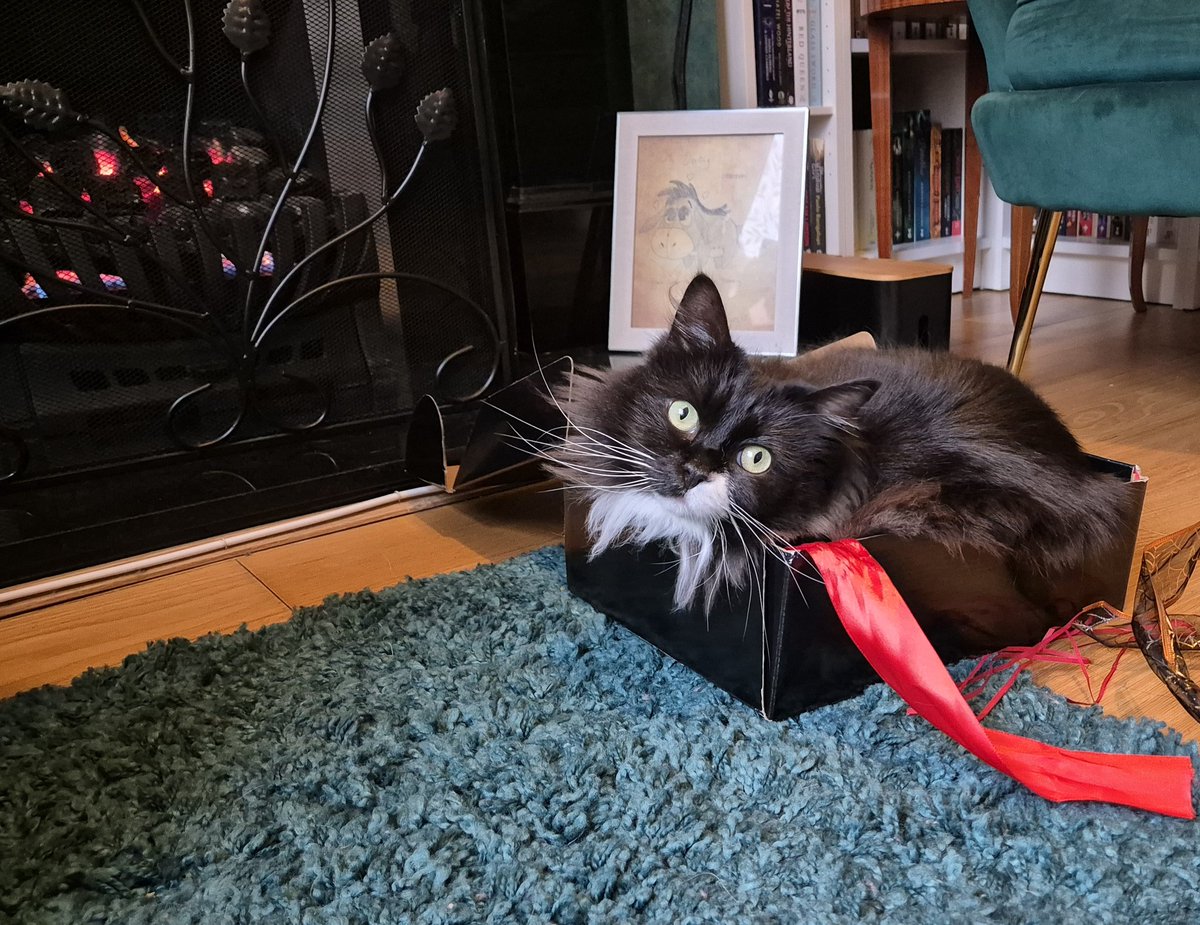 lunaslibrary's tweet photo. Emily the Strange returns! 🐈‍⬛️🕸🕷

Massive thanks to @HarperFireBooks @HarperCollinsCh for this amazing #book post collection of all the @emilythestrange_official #books

The cats are also huge fans!

#bookblogger #books #childrensbooks https://t.co/Vlfoue9WYl