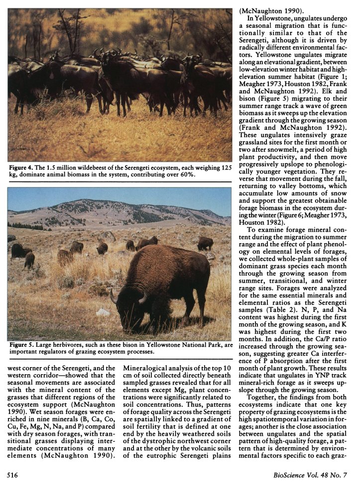 MEATritionCom's tweet photo. Herbivores are so cool. Reading this for my thesis and it's amazing how the animals have an "uncanny ability" to find fresh forages - whether they're climbing in elevation through spring and summer, or traveling to wetlands with more fertile soil and minerals. #Ruminati https://t.co/P21X231SIH