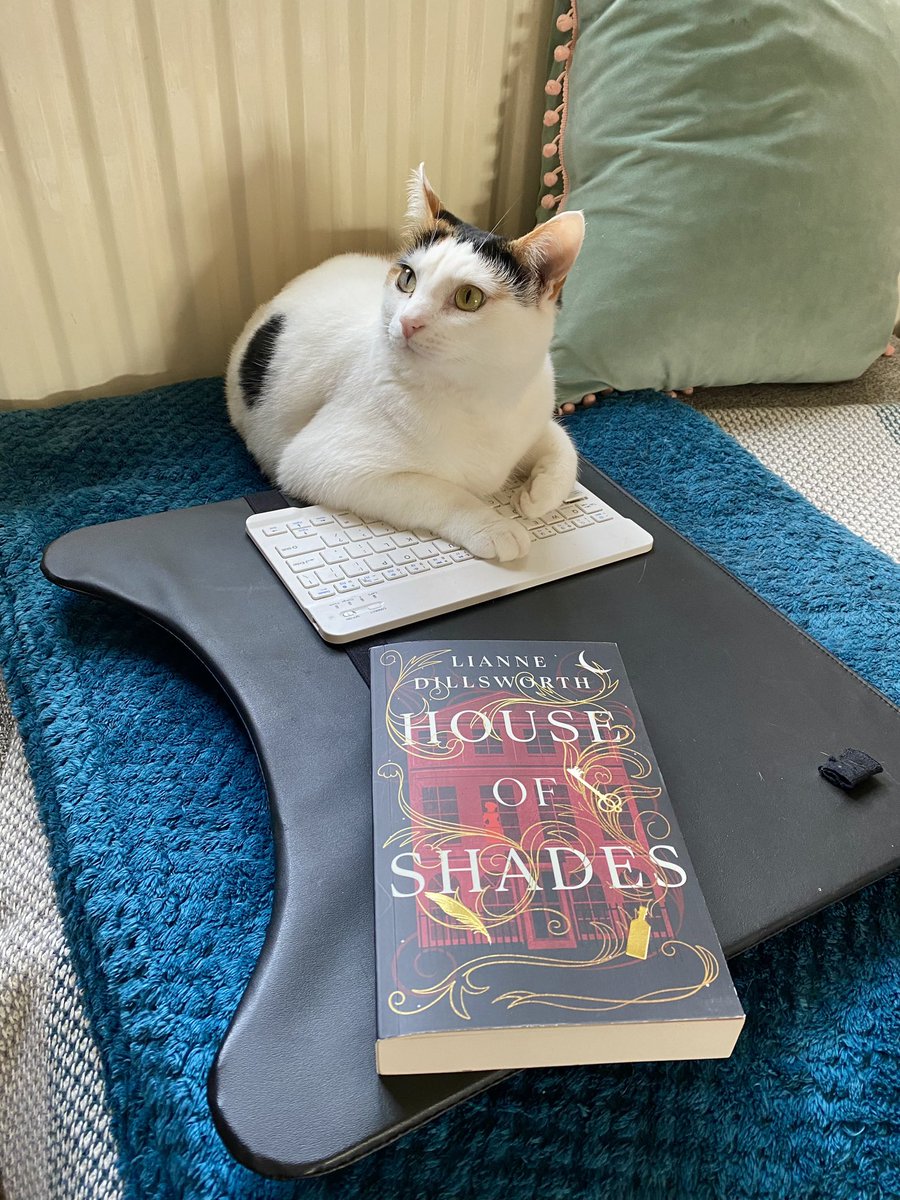 I’ve loved reading House of Shades by @LianneDWrites but I’ve handed my review over to Dolly for typing #HouseOfShades #HistoricalFiction @HutchHeinemann