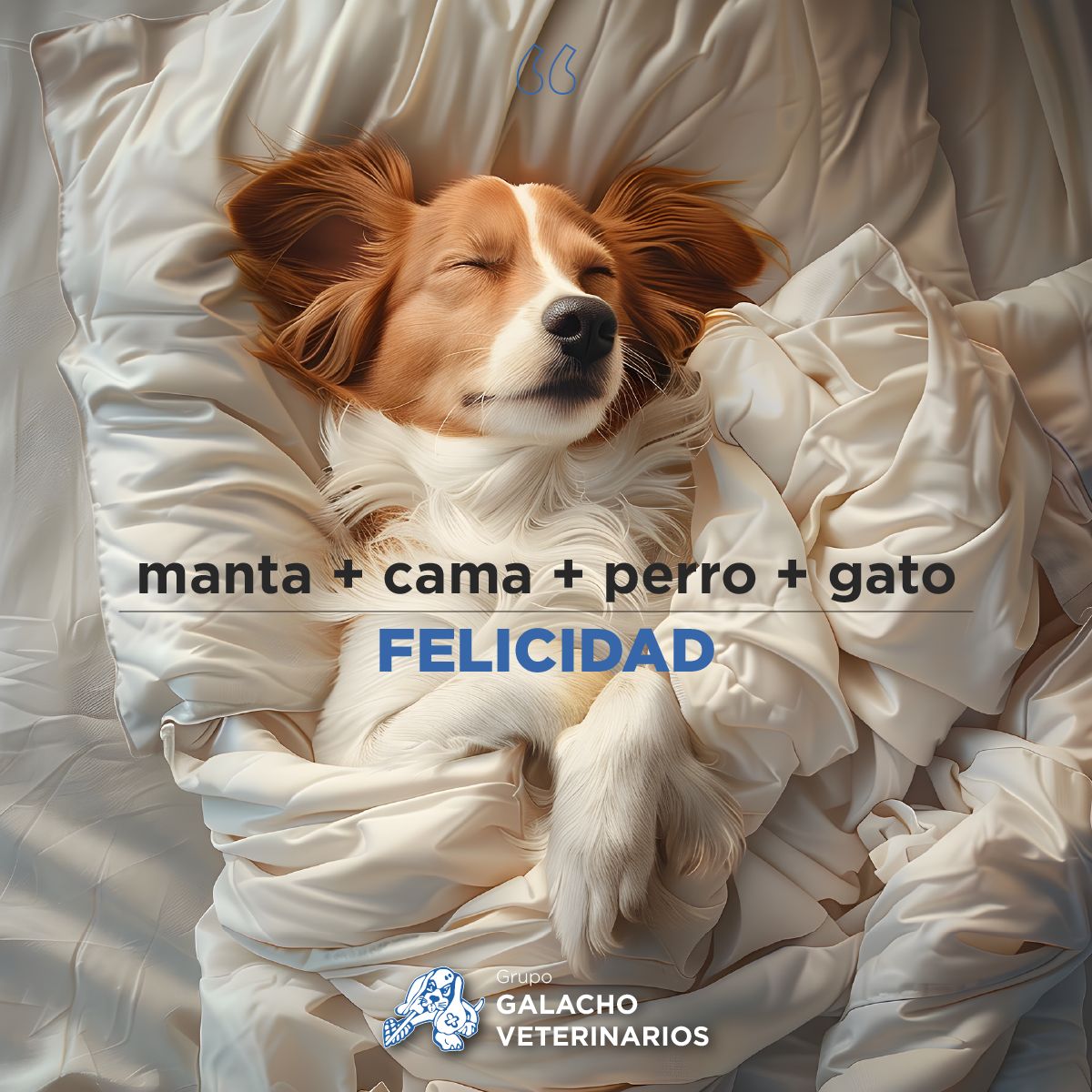 El orden de los sumandos no altera el resultado