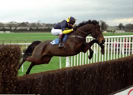 OTD 2008 @suesmithracing-trained Himalayan Trail ridden by conditional Tjade Collier (@TCRacing5) came home a massive 22 lengths clear in the Midlands Grand National @UttoxeterRaces. 2 days earlier Mister McGoldrick gave Sue a first Cheltenham Festival winner. 🏇👏#RacingMemories