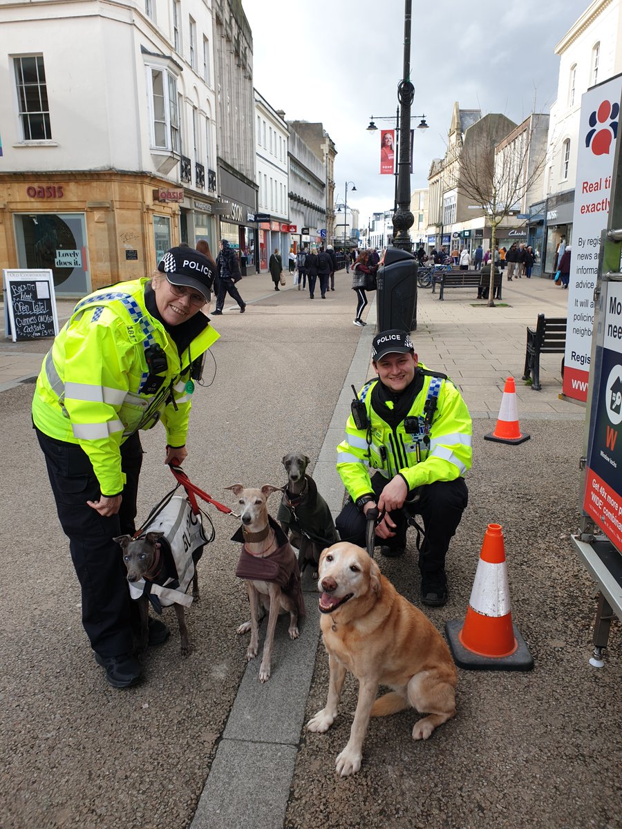 Local officer's PC Butler and PC Waterer have been on the High Street in Cheltenham today engaging with members of the public for Cheltenham races. They met some adorable furry friends whilst on patrol! 🐕