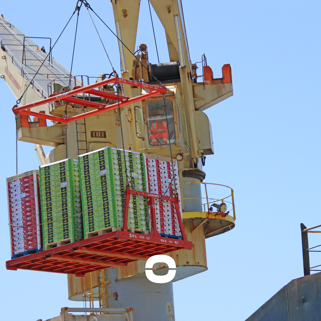 Coolcarriescl's tweet photo. Welcome aboard! our clients SPS and @gesex recently visited CS Standard in @tps_valparaiso Valparaíso.
 Efficiently loaded 5,400 pallets and 162 containers, last destination: Gloucester.
#CoolCarriers #LogisticsExcellence #Partnerships #MaritimeServices https://t.co/zTPWjqDQLi