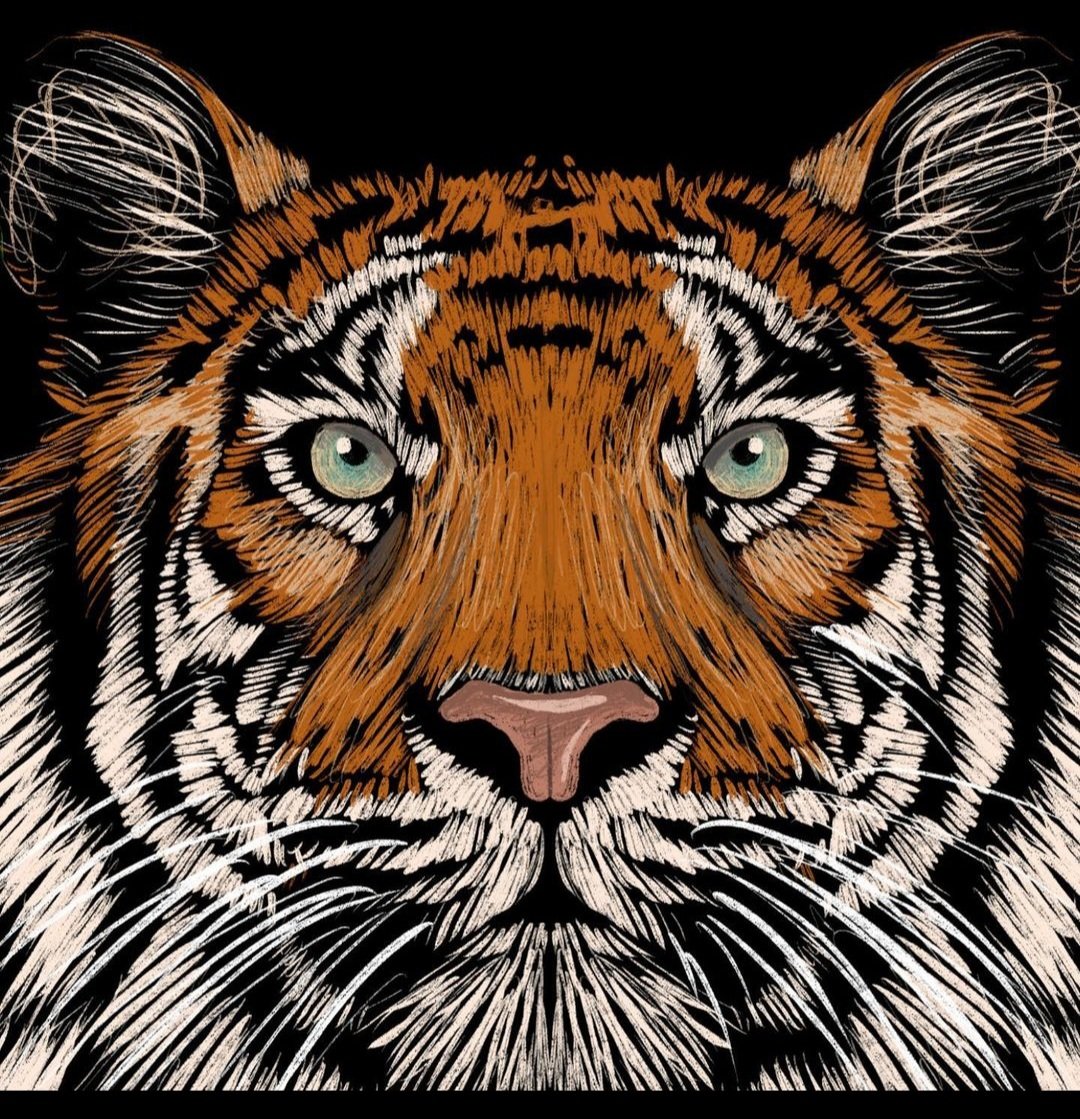 DapperCub's tweet image. 