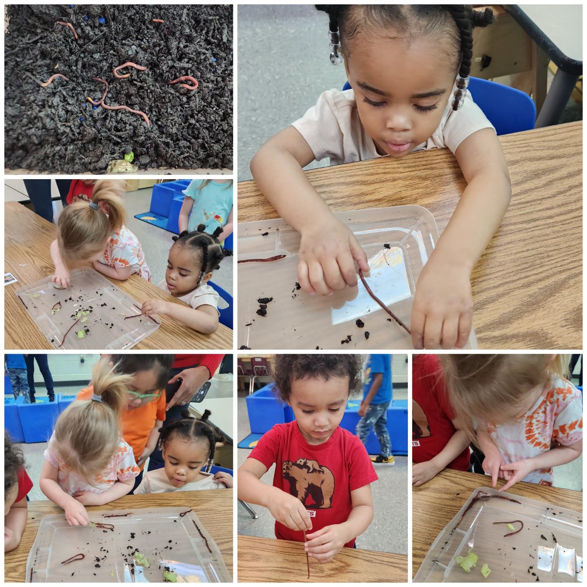 Dawn Irwin tweet media