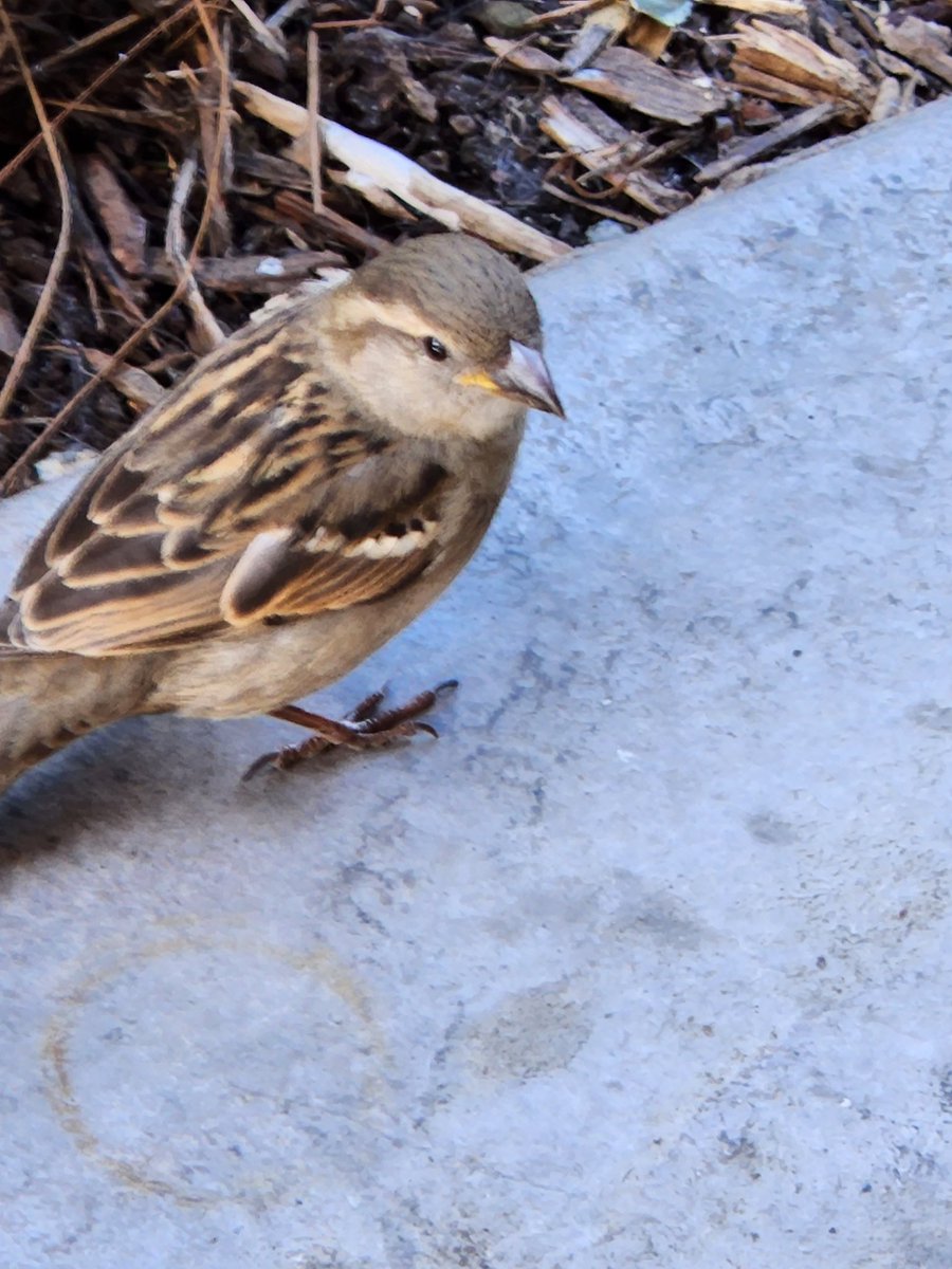 Fly away with me. 😊