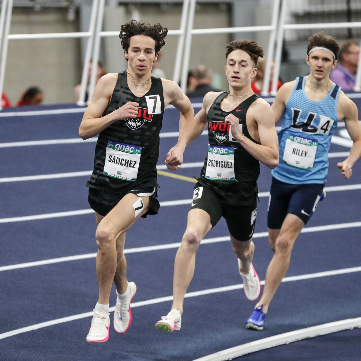 Western Oregon Wolves Athletics tweet media