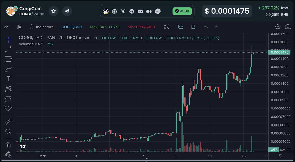 corgi_express's tweet image. What about the real #Corgicoin?