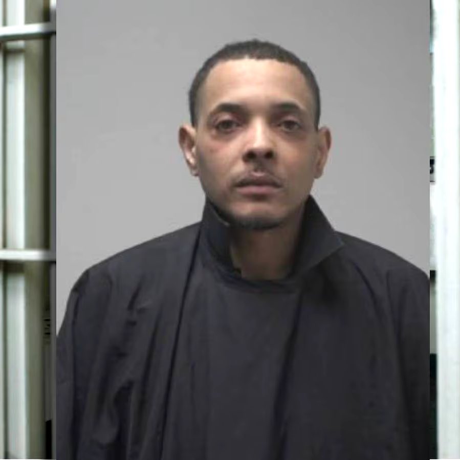 Everything Georgia tweet media