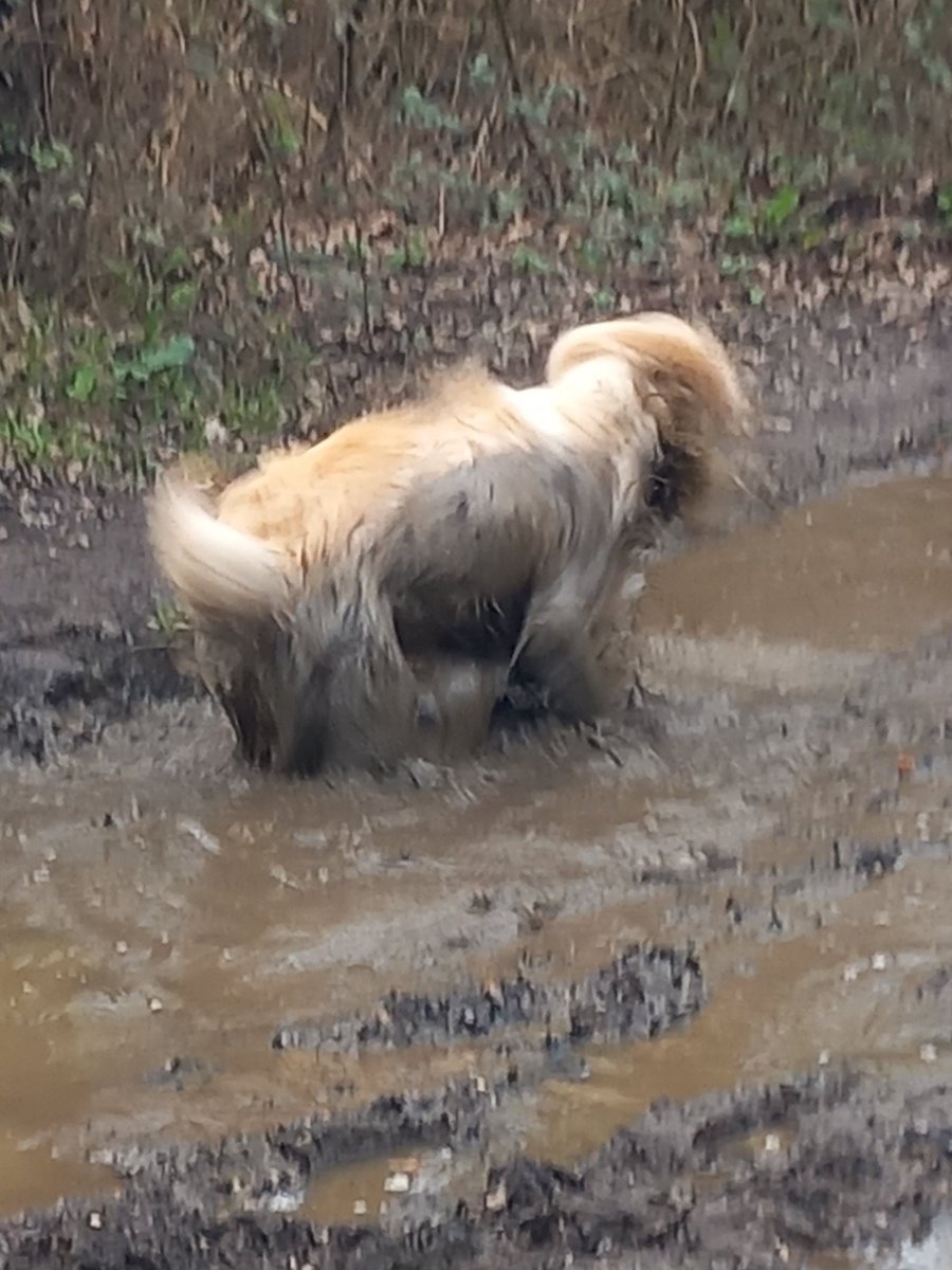 The mud monster!