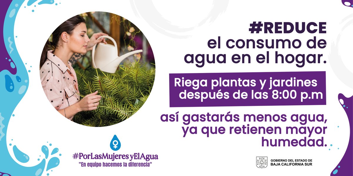 🌿💦 Programa el riego de tus plantas y jardines después de las 8:00 p.m. para optimizar el uso del agua. Aprovecha la mayor humedad nocturna y reduce tu impacto ambiental.

#PorLasMujeresYElAgua