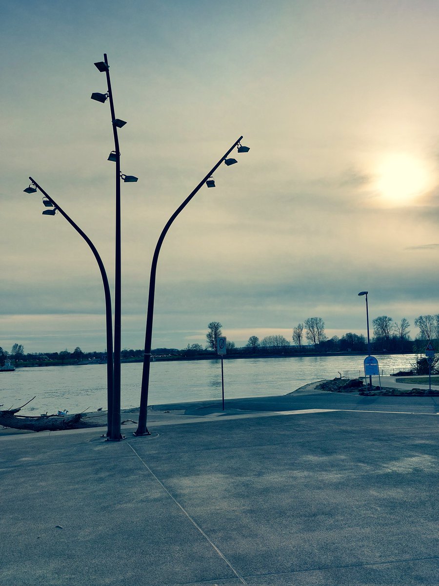 slightly #liminal and #beauttiful #river #sun #water #riverside #afternoon #almostspring #rhine #mondorf #bonn #germany #europe