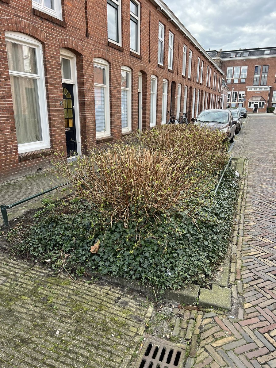 Wijkpanel Vlietzone tweet media