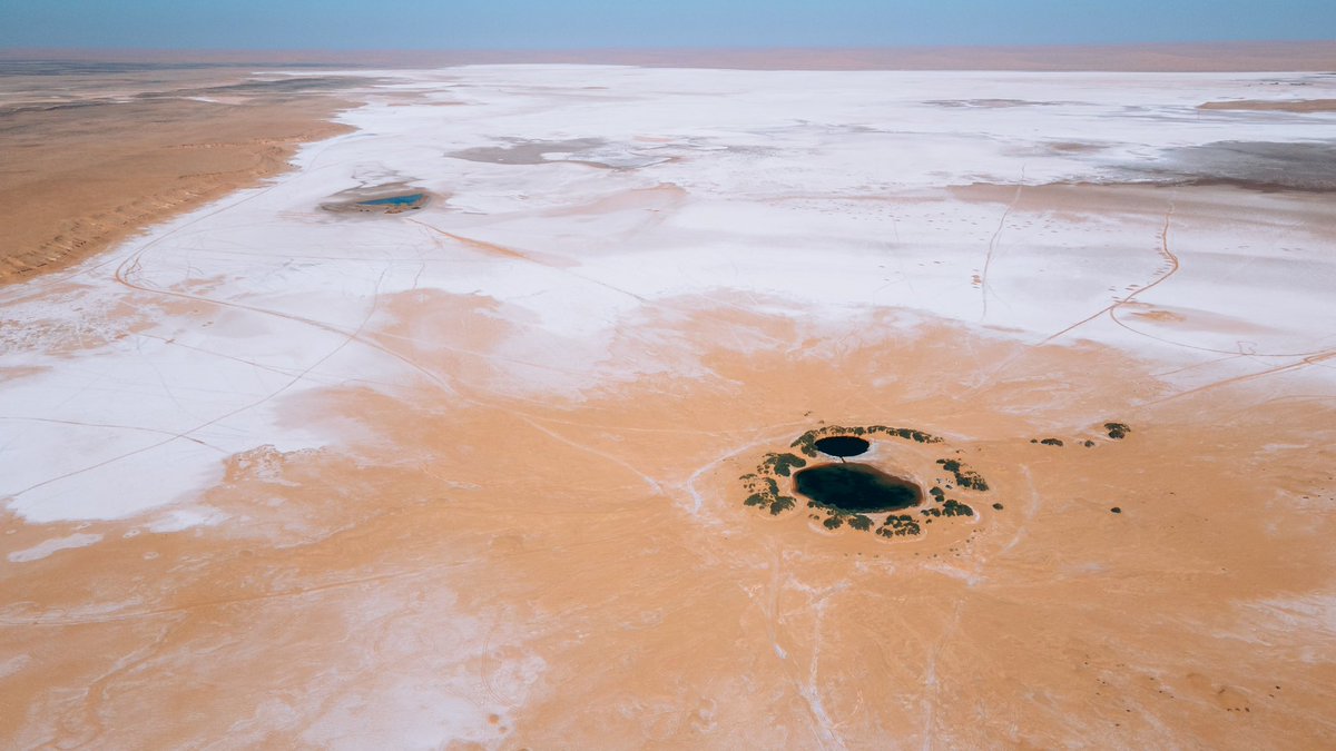 The ever changing water levels in the Sahara desert 🏜️