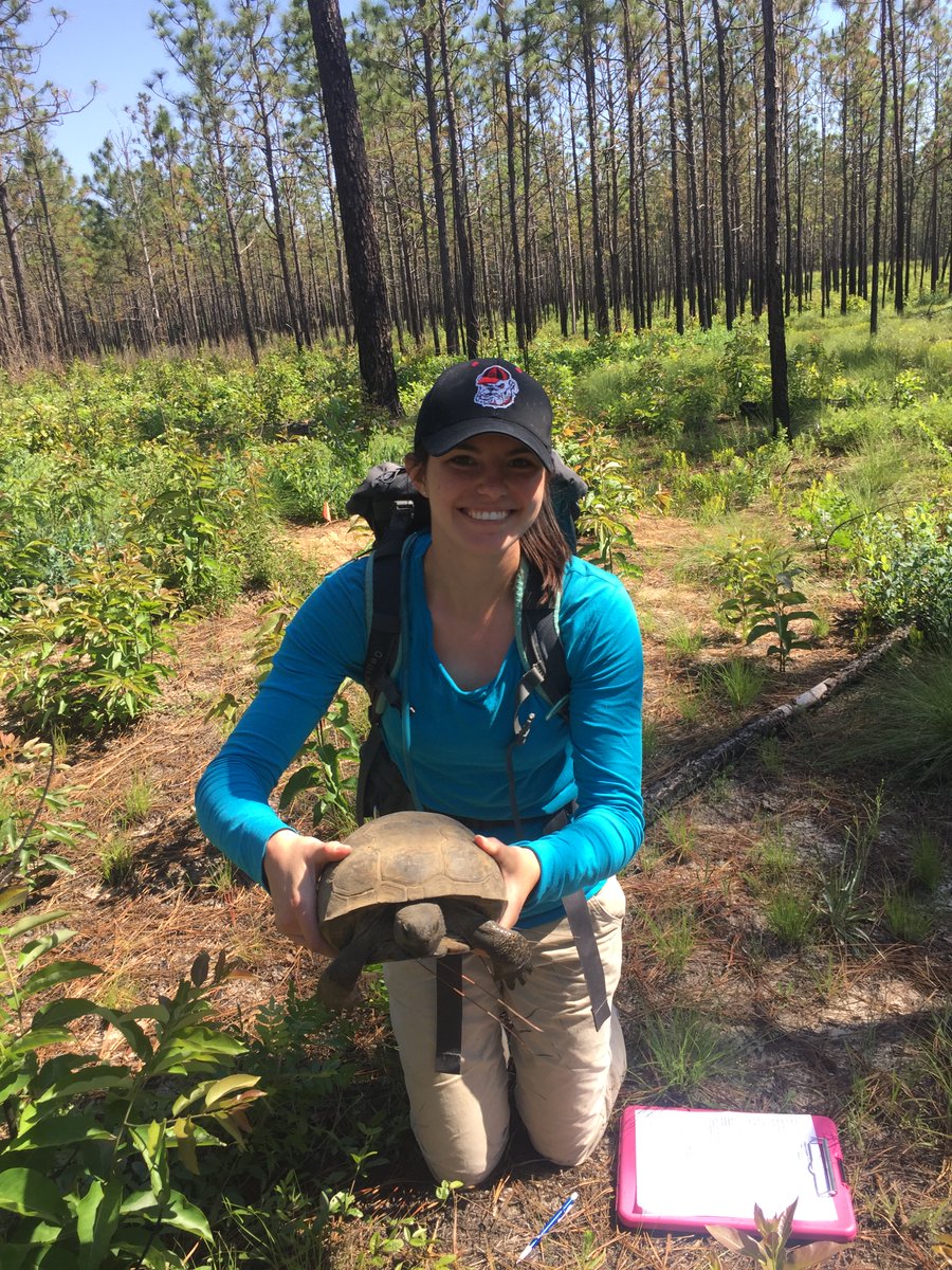 Congratulations, Rebecca McKee! @rkmckee14 PhD candidate @McCleeryLab , is the 2024 recipient of the prestigious Courtney A. Tye Memorial Graduate Student Scholarship! All the best for your future Rebecca! #WildlifeConservation #FutureLeaders