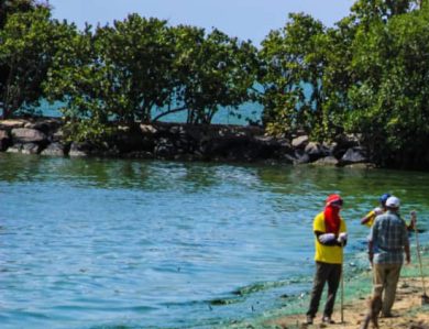 El #LagoDeMaracaibo es el Zulia 🌅
La comisión para el Rescate, Conservación y Desarrollo Sostenible del Lago de Maracaibo, continúa su extraordinaria labor colectiva de varios meses en varios municipios, cubriendo zonas lacustres con el plan de saneamiento y limpieza.
#Venezuela