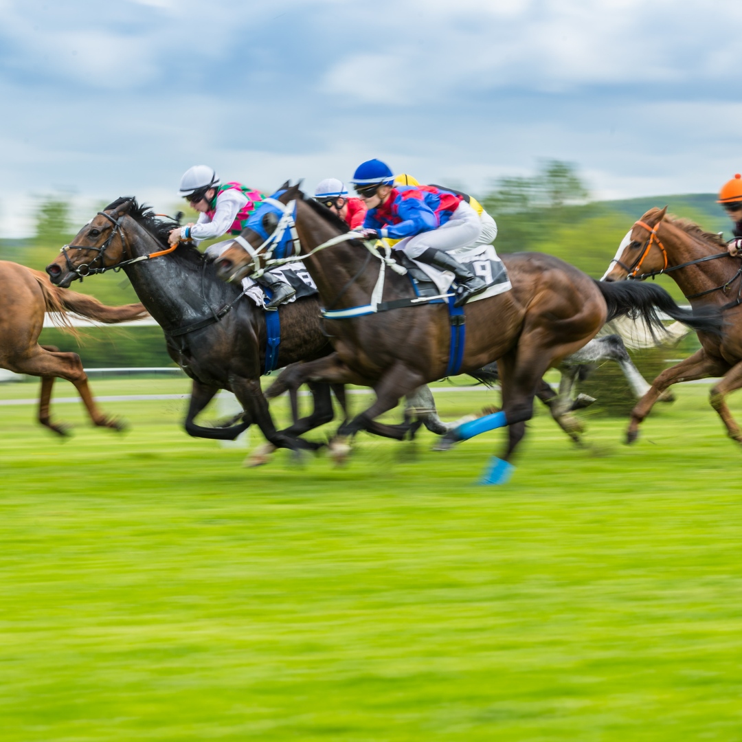 Who enjoyed the @CheltenhamRaces this week? Such a key time in the racing calendar with a busy week followed by Aintree in just a few weeks time. Before you saddle up for these events, make sure your insurance is up to date and covers all your needs. 👇 allsportinsurance.co.uk/horse-events/