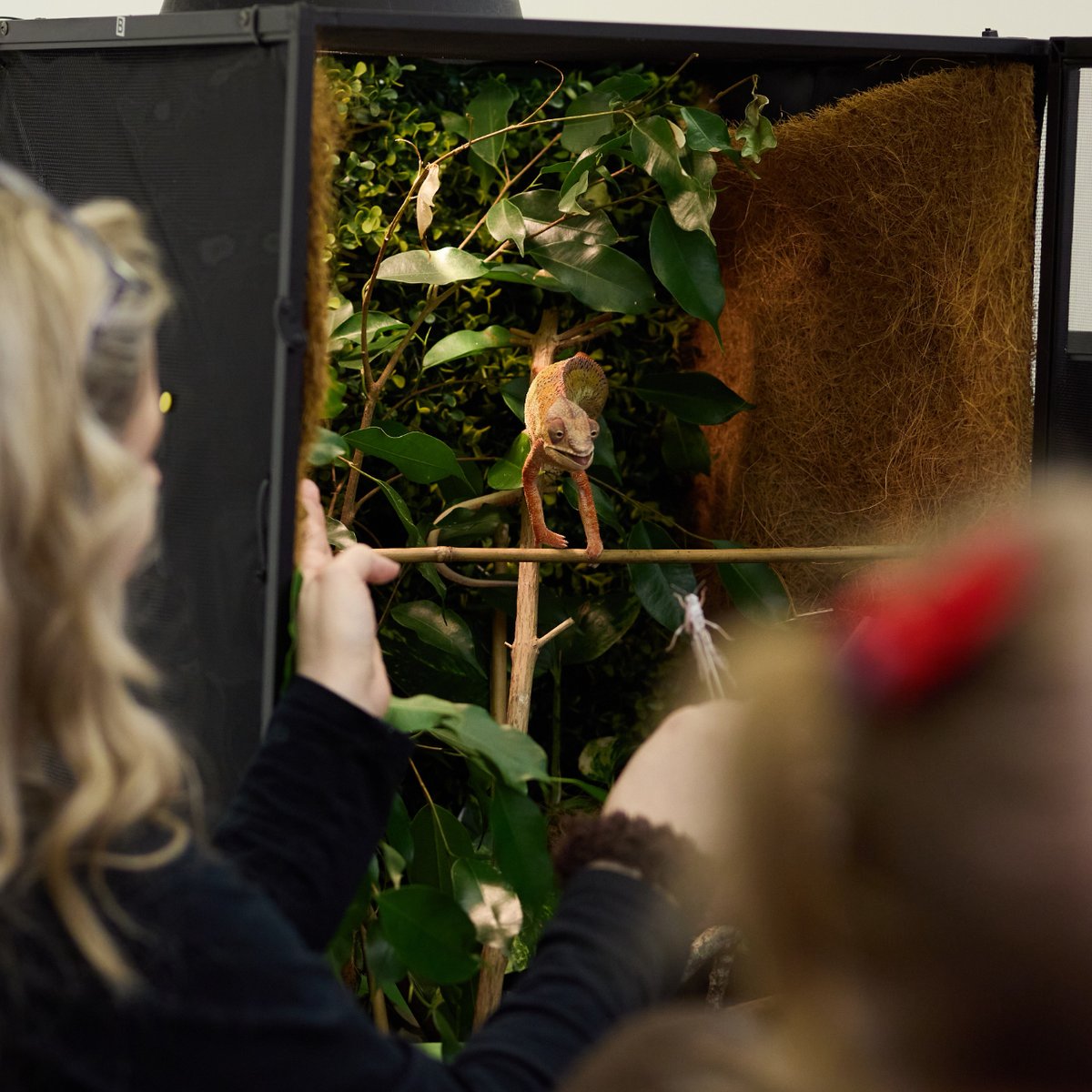 Halton MakeFest tweet media