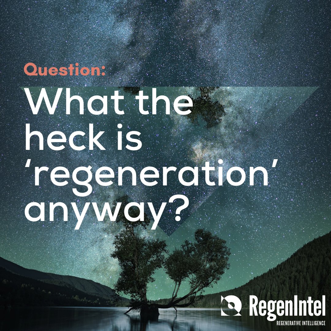 Chad Frischmann 🏳️‍🌈 tweet media