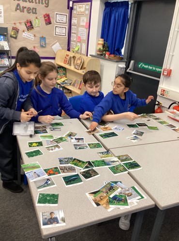 Year 4 were challenged to sort picture cards into two categories by using only one question as part of their science topic grouping and classifying. Each group came up with different ways to classify the living things. #WeExceed