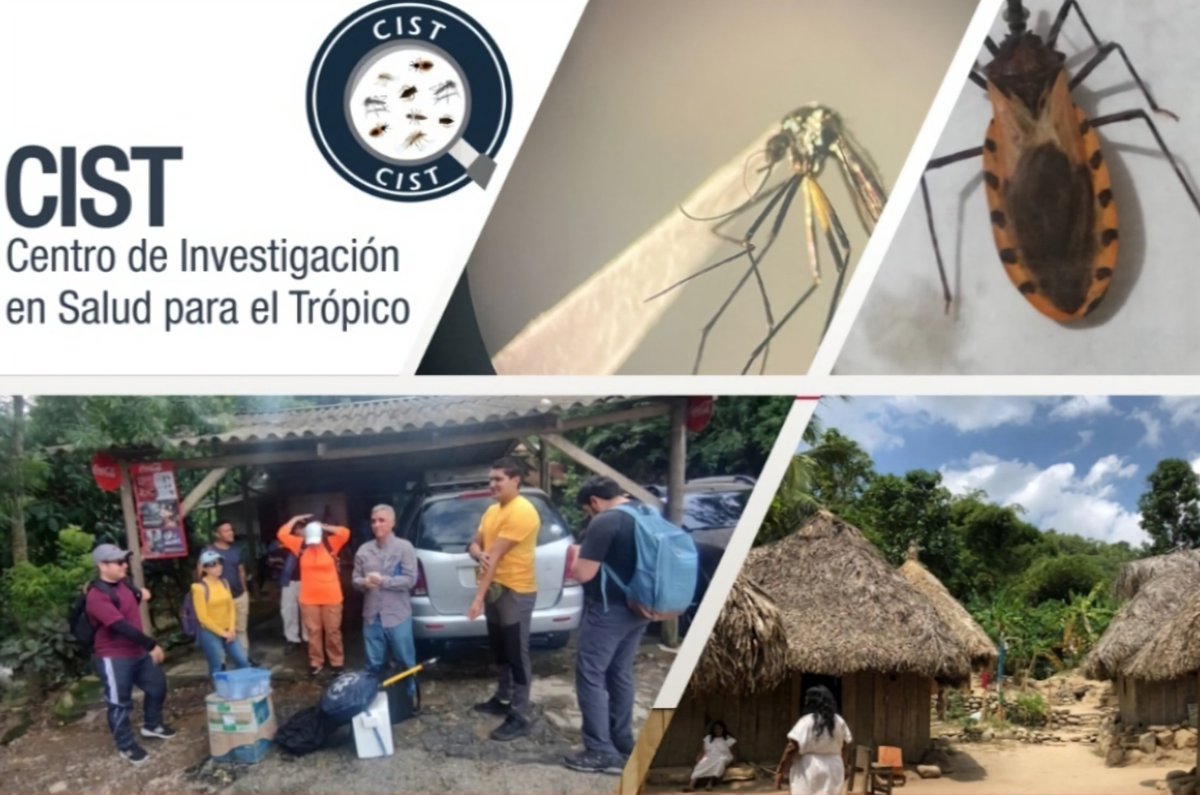 Entomología médica 
Ecología de vectores 
Santa Marta,  Colombia