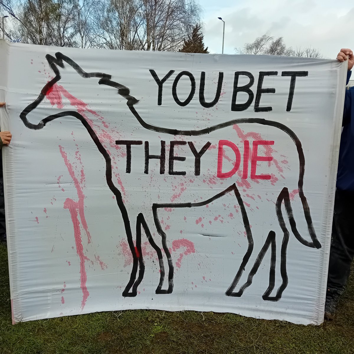 Today we joined other groups for a protest at Cheltenham races. Three horses have died this week whilst racing on this course due to people betting, its a disgrace and it needs to stop.