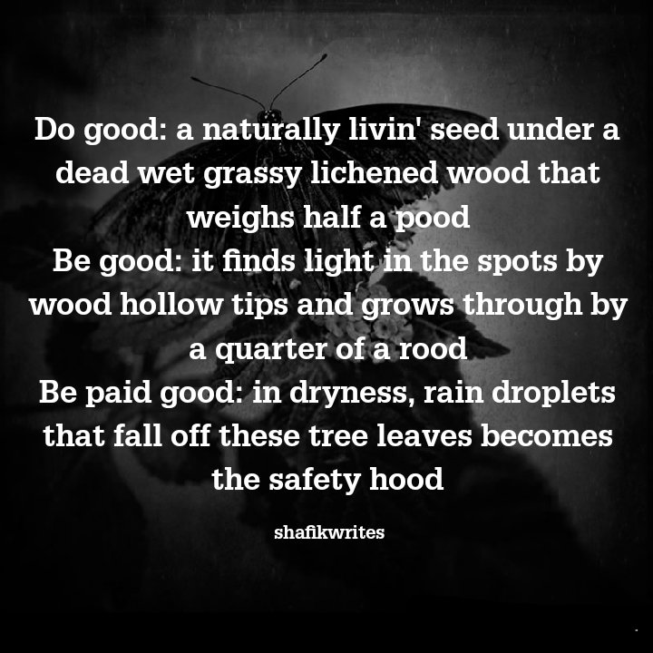 Shafik writes... tweet media